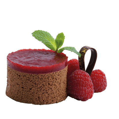 448109 Bio Schokomousse mit Himbeermark_freigestellt